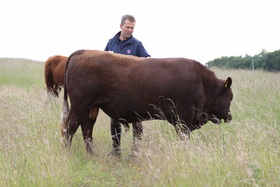 Mr Chapman checking his livestock