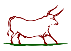 Native Beef logo